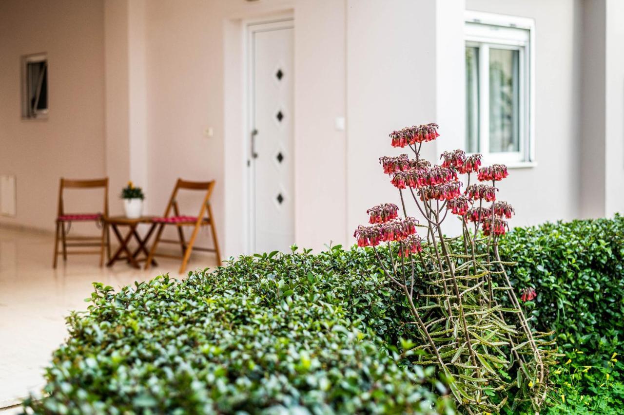 Blossom Apartment Ierapetra (Crete)